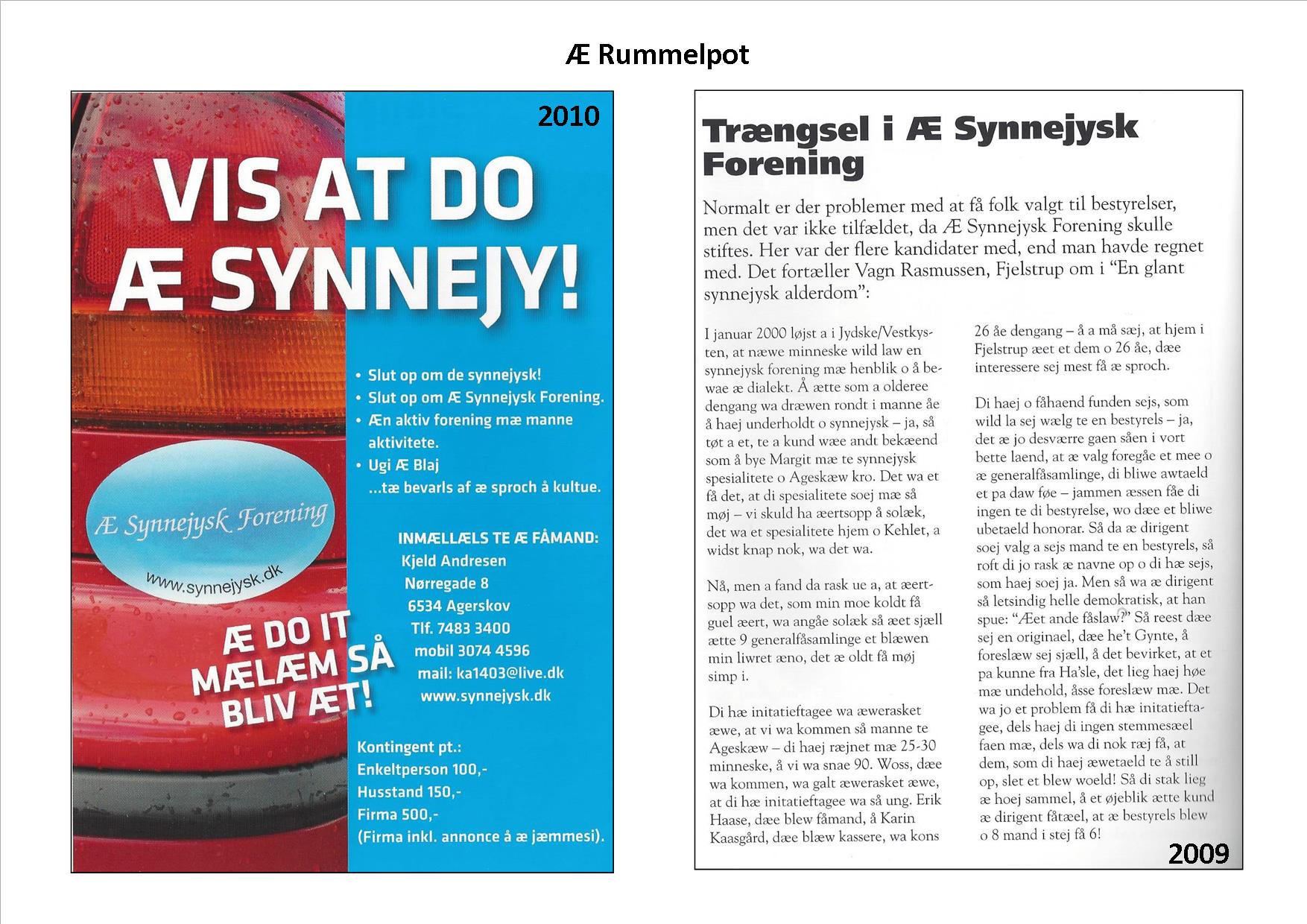 15 Æ Synnejysk Forening