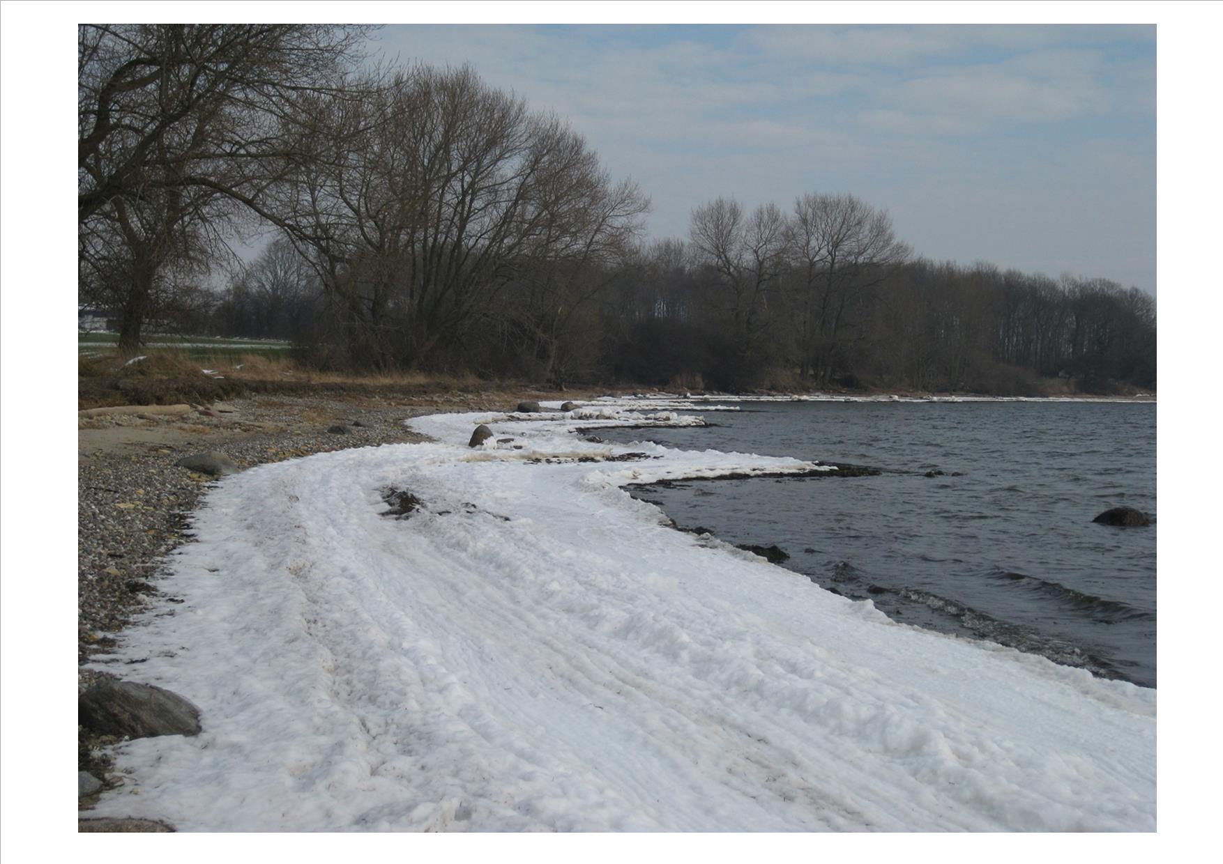 Busholmstrand vinter