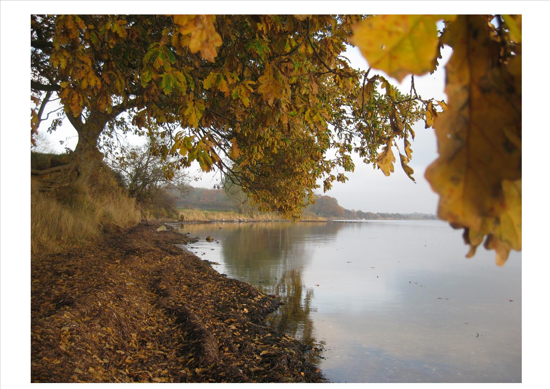 Busholmstrand efterår