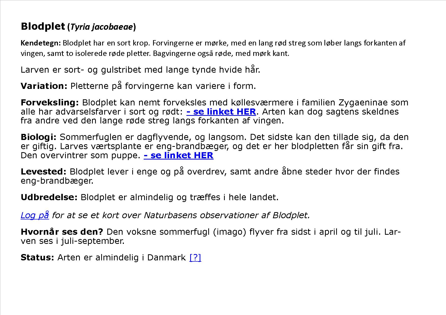 Blodplet sommerfugl 2