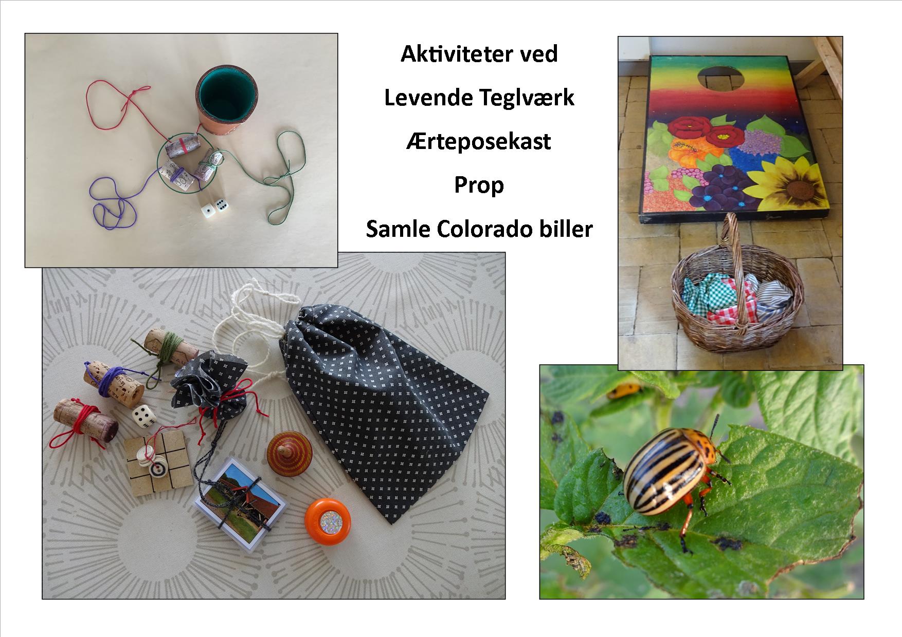 Aktiviteter opslag