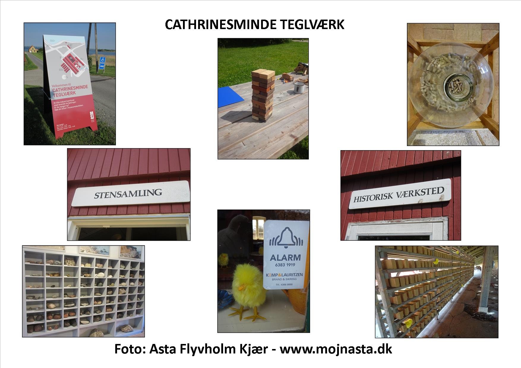 Billede lotteri Cathrinesminde plade 10