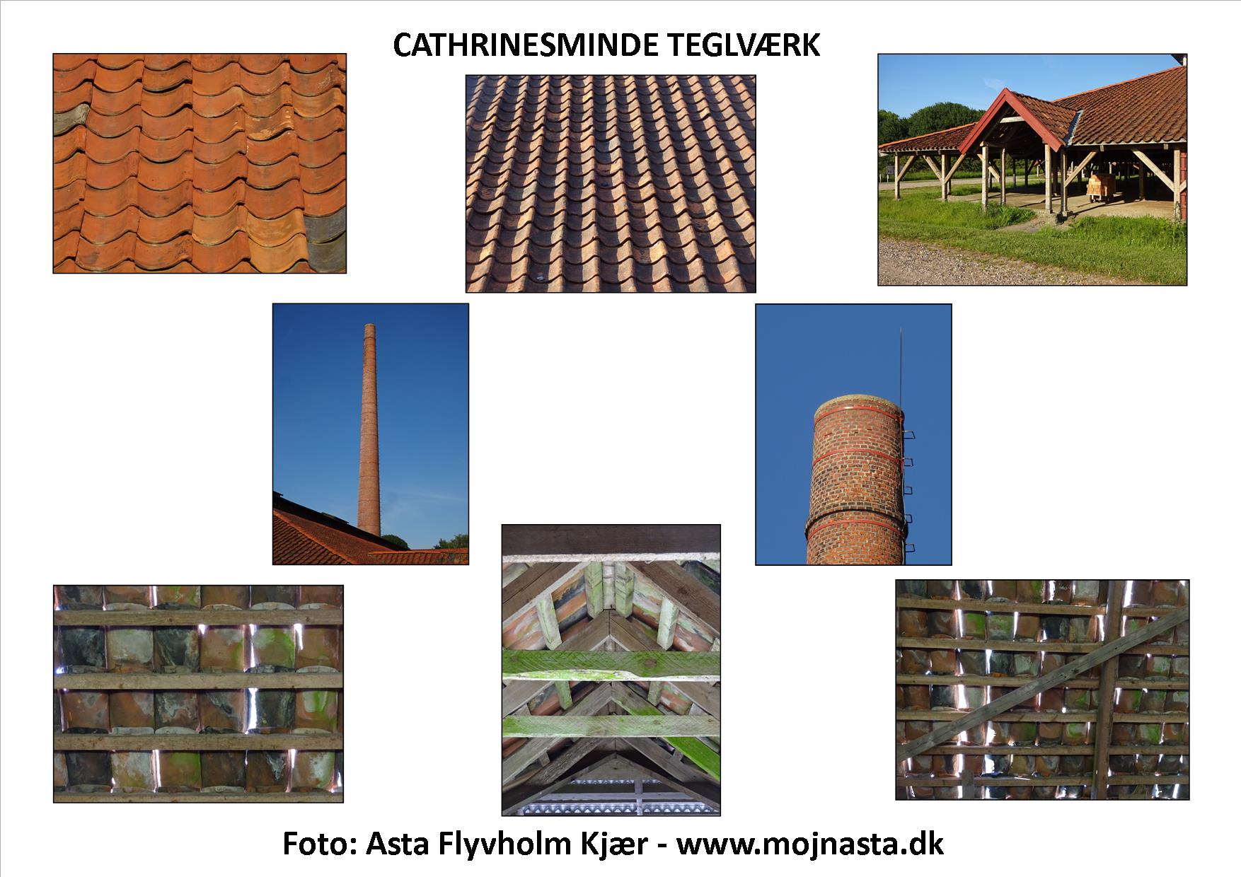 Billede lotteri Cathrinesminde plade 2