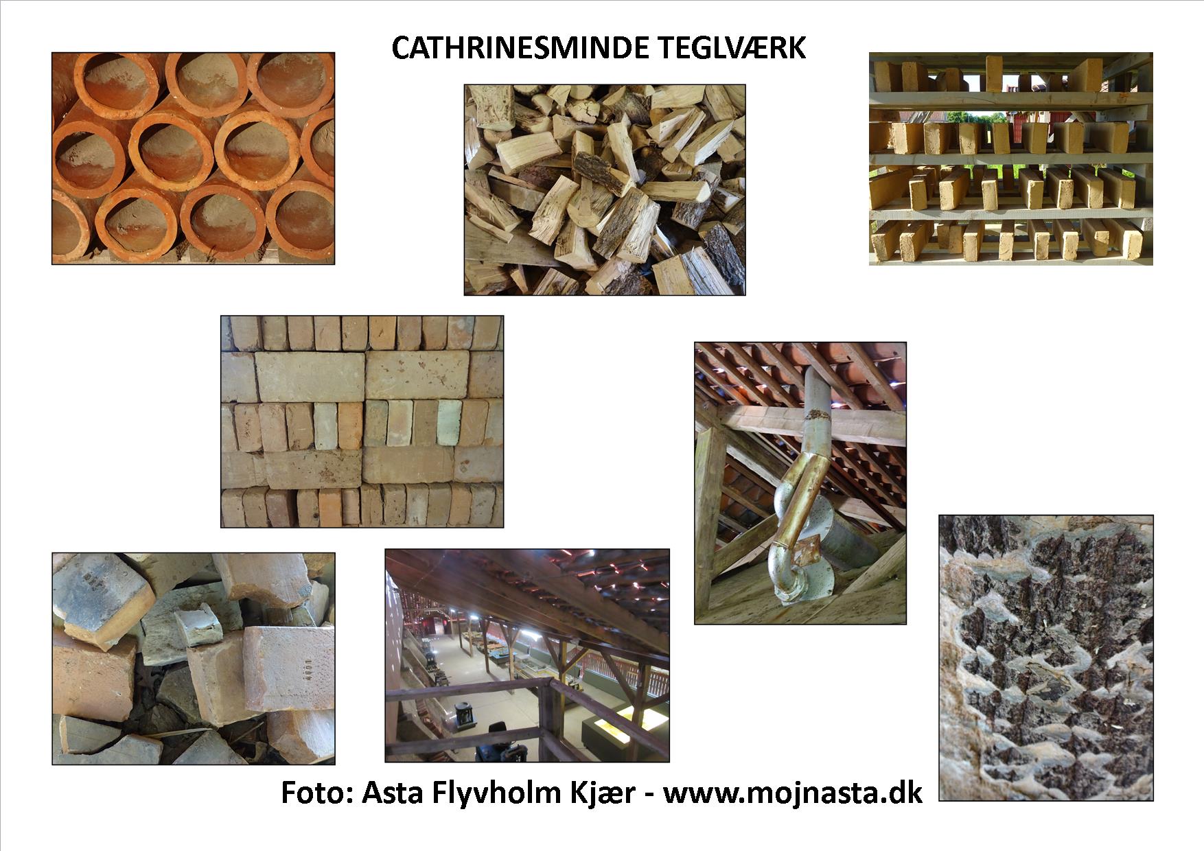Billede lotteri Cathrinesminde plade 6