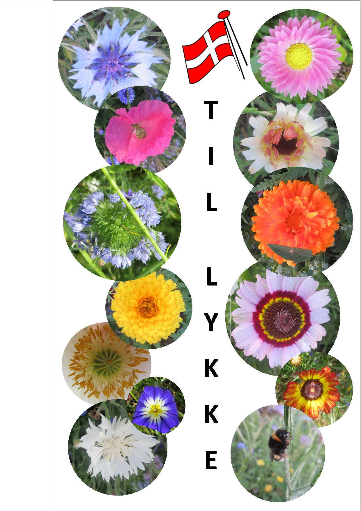 Sangskjuler med blomster 