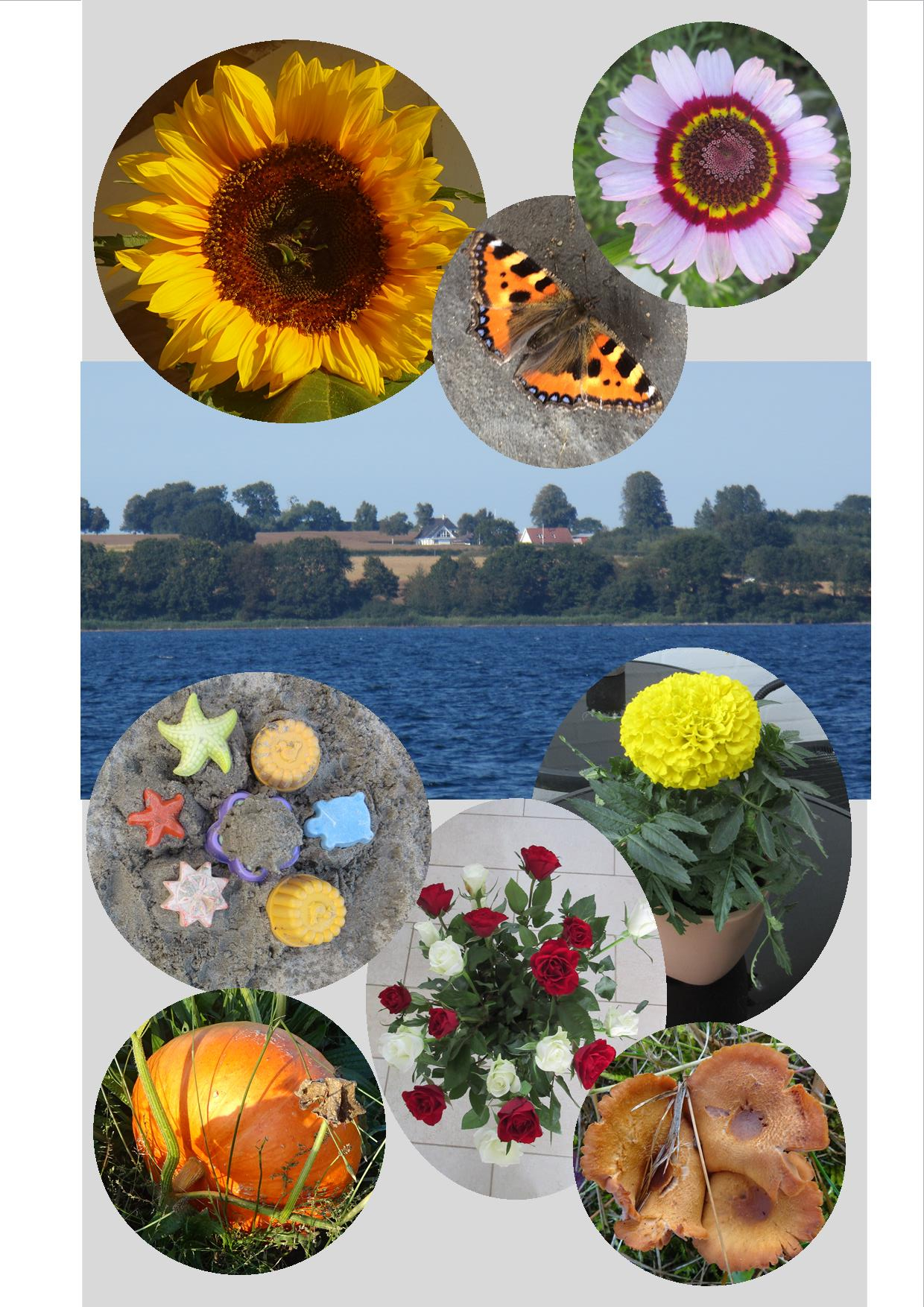 Sangskjuler med blomster 