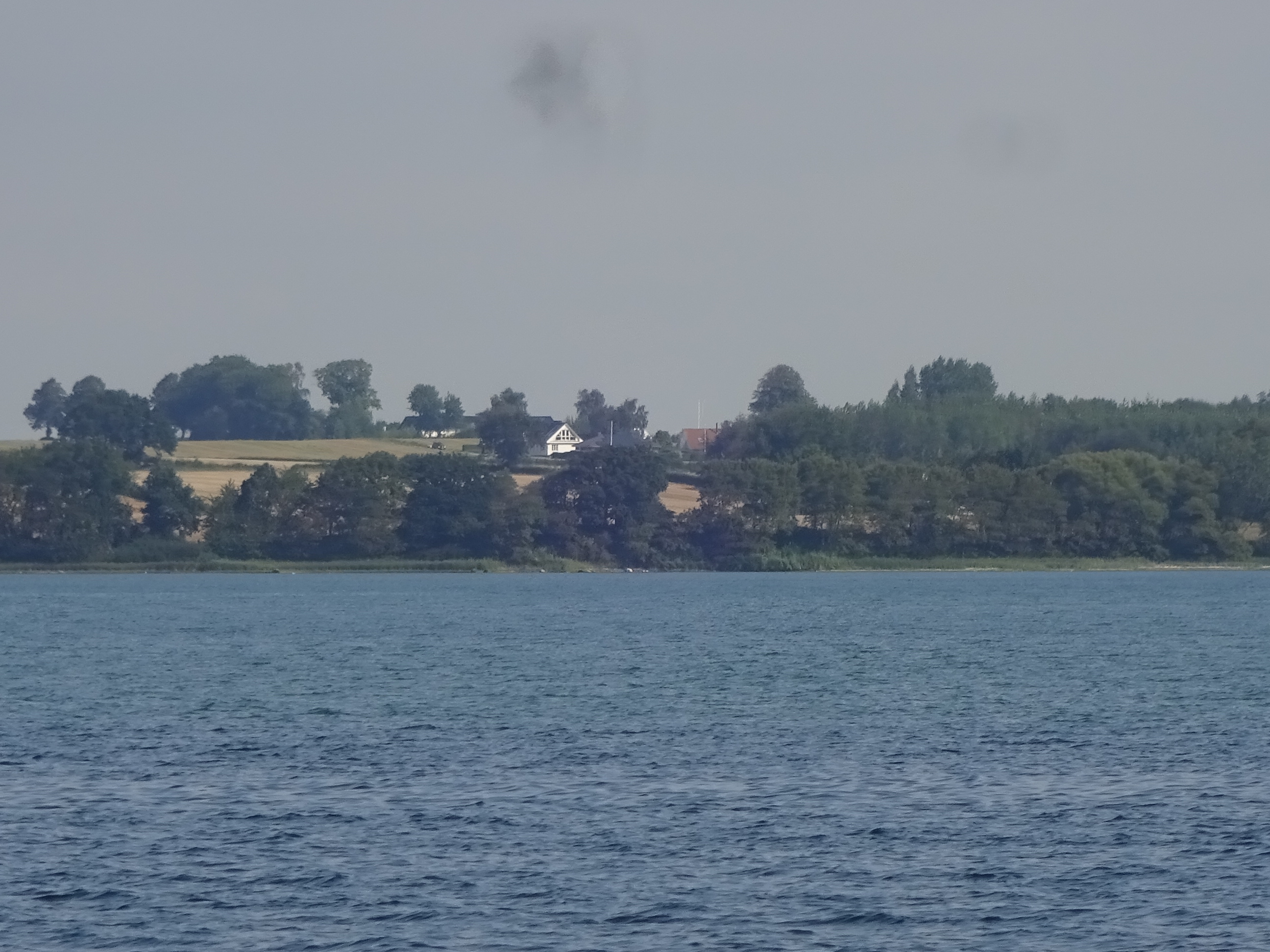 DSC07825