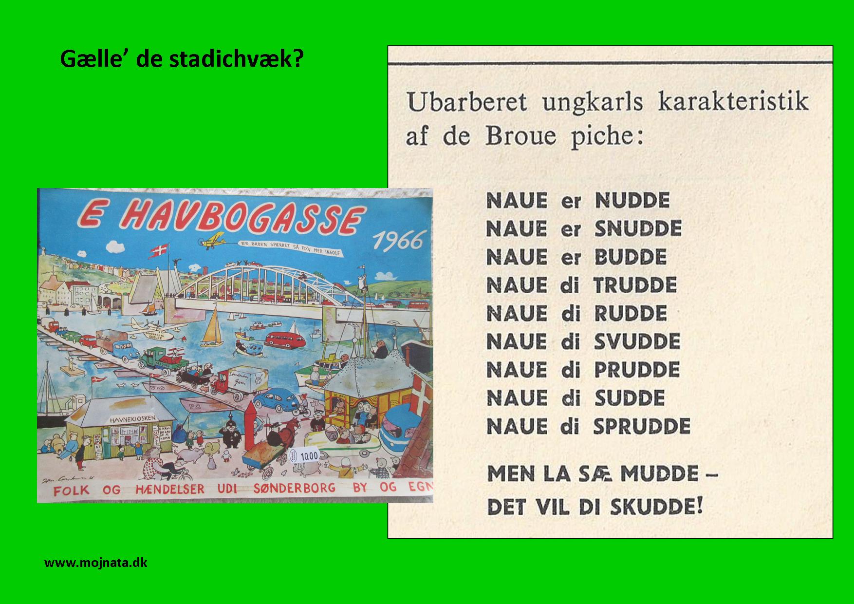 Broue piche Havbogasse