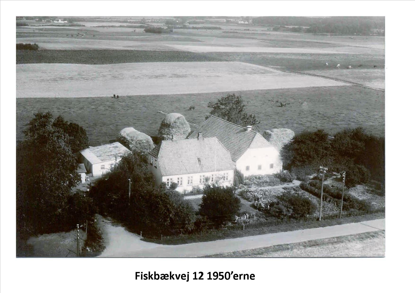Fiskbæk billeder til mojnasta 3