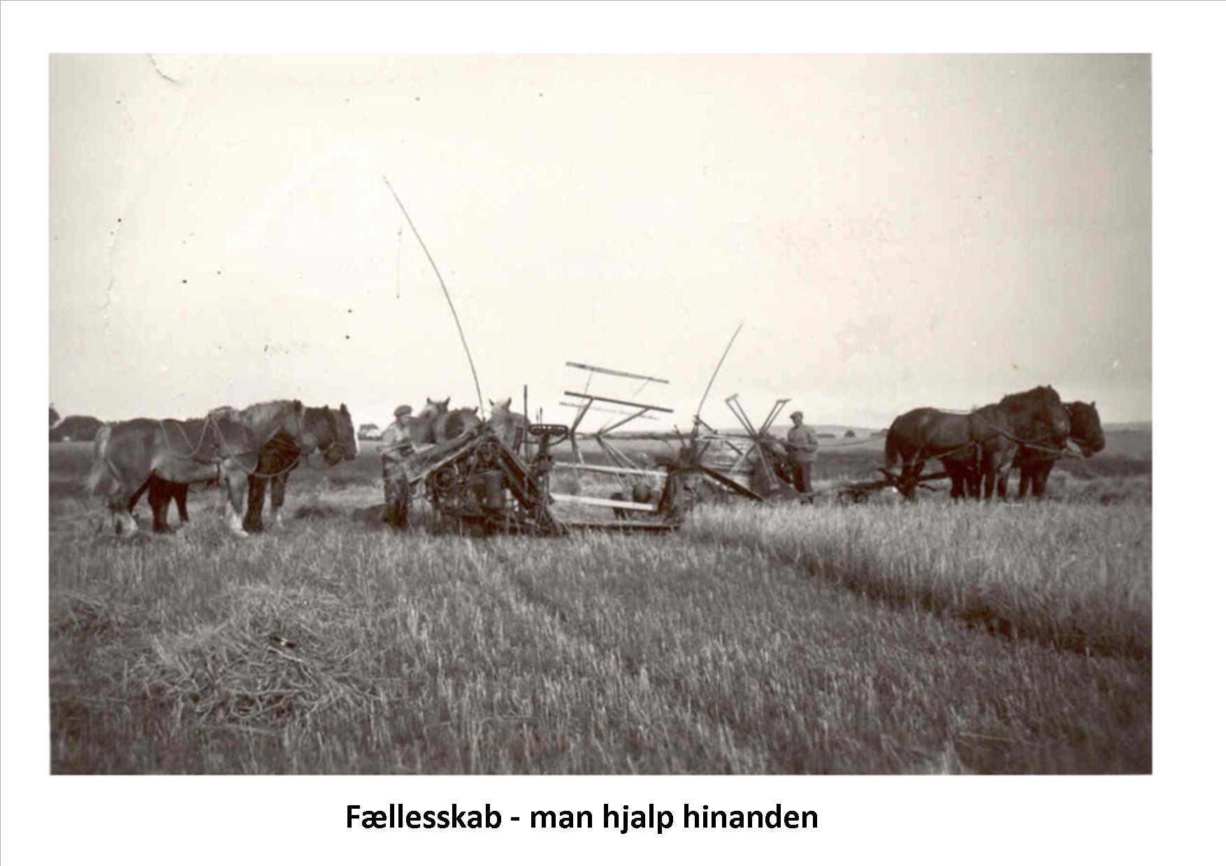 Fiskbæk billeder til mojnasta 4