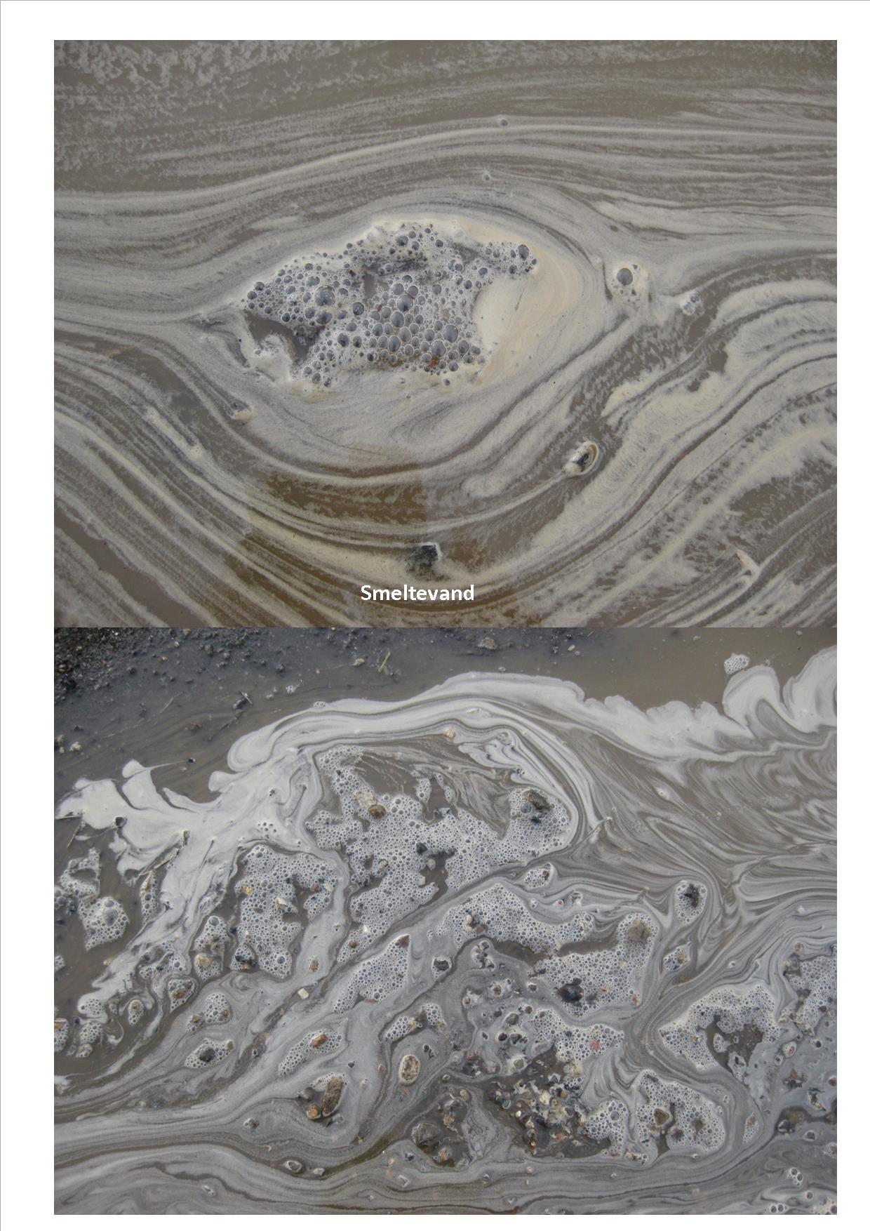 Naturkunst 11