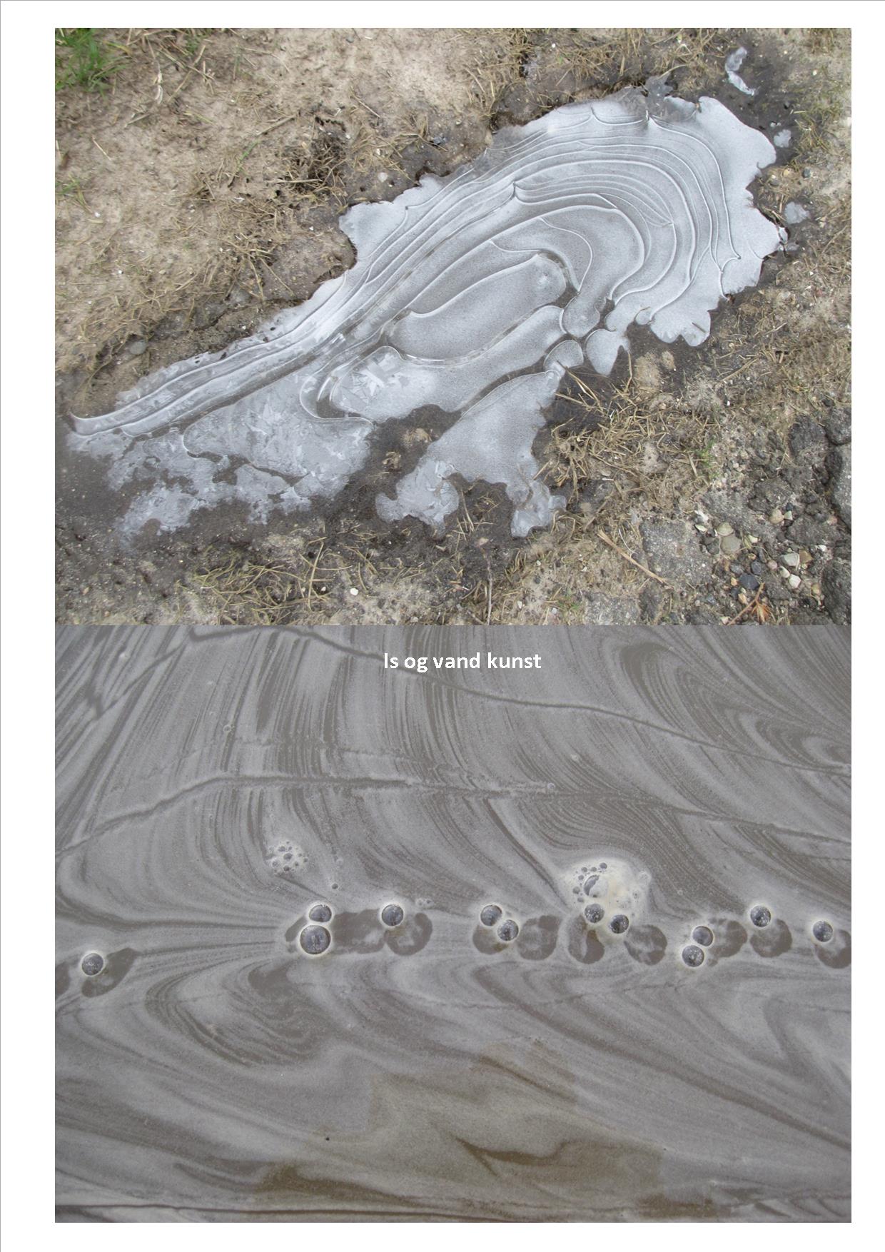 Naturkunst 12