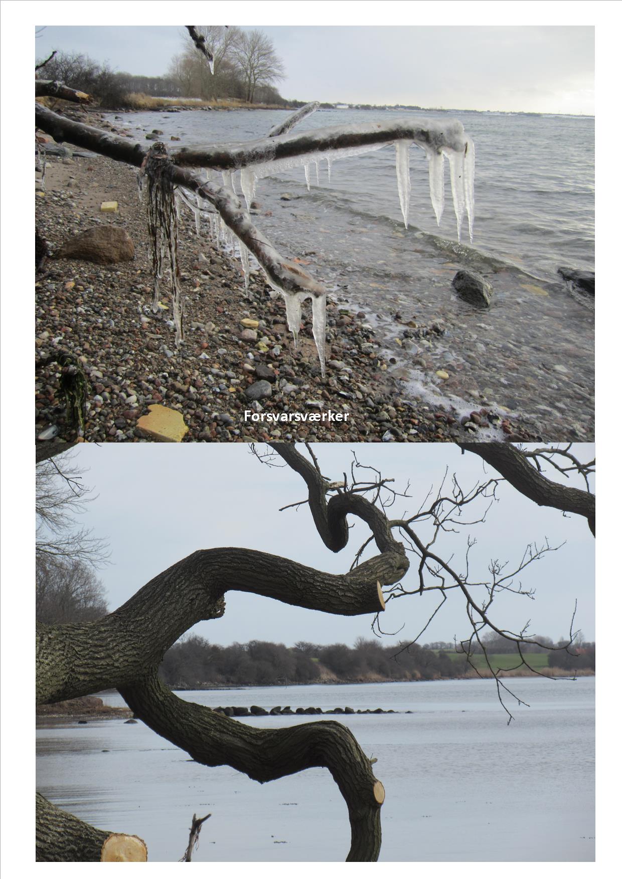 Naturkunst 4