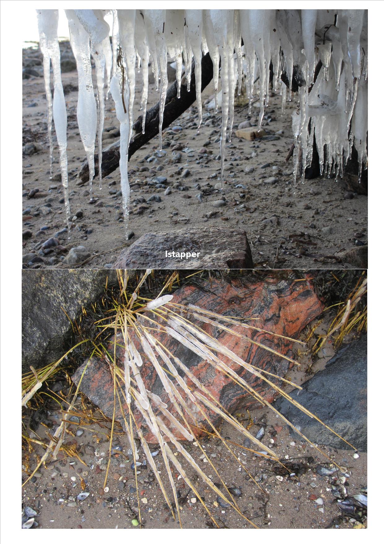 Naturkunst 7