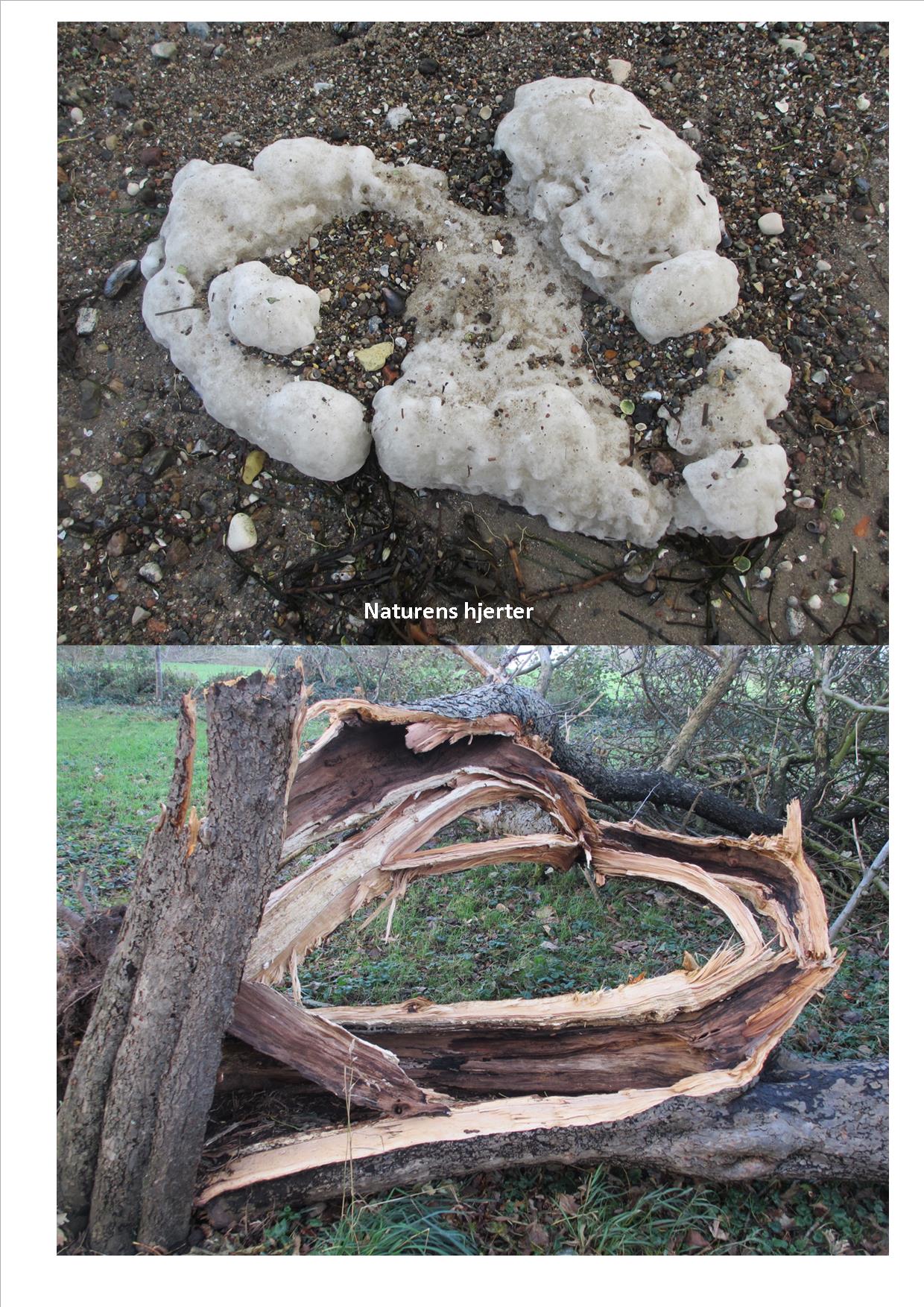 Naturkunst 9